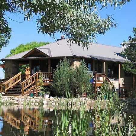 Starry Nights Ranch Bed & Breakfast Mancos Dış mekan fotoğraf