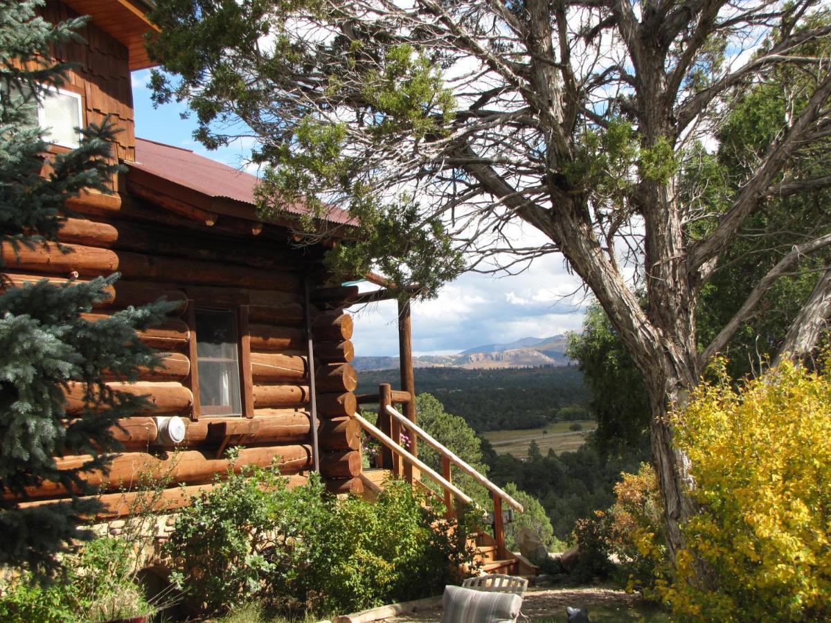 Starry Nights Ranch Bed & Breakfast Mancos Dış mekan fotoğraf