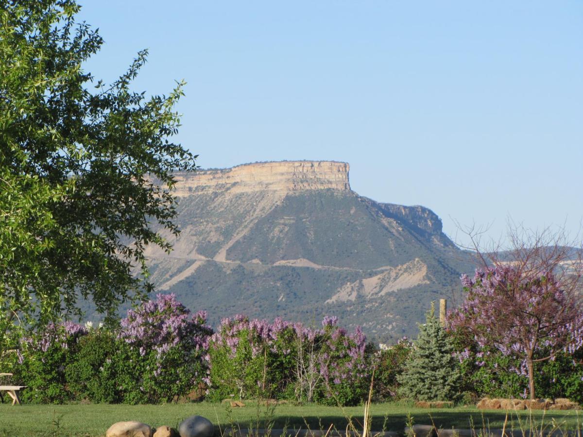 Starry Nights Ranch Bed & Breakfast Mancos Dış mekan fotoğraf